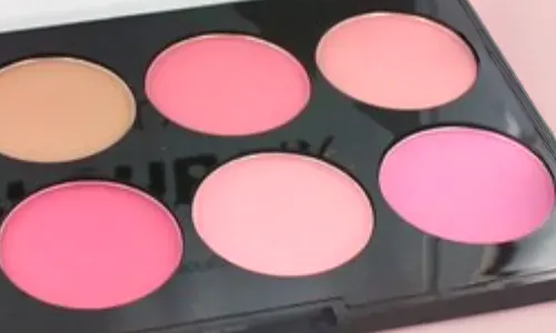 Blush Palette