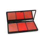 Sleek Blush By 3 Blush Palette - 365 Flame