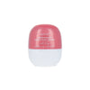 Technic Liquid Blusher - Pink Flamingo
