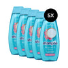 Schwarzkopf Moisture & Shine Shampoo - 5 x 400 ml