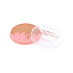 Maybelline Terre Indienne Bronzing Powder with Blush - 10 Bronzed Tropics