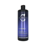 TIGI Catwalk Fashionista Violet 750 ml Shampoo - For Blondes and Highlights