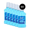 Oral-B Lasting Freshness Mouthwash Arctic Mint - 6 x 250 ml