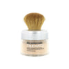 L'Oréal True Match Minerals Poeder Foundation - D1.W1 Golden Ivory