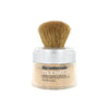 L'Oréal True Match Minerals Poeder Foundation - N6 Honey Glow