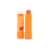 Maybelline Baby Lips Holiday Spice - 22 Pumpkin Spice (2 Stuks)