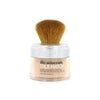 L'Oréal True Match Minerals Poeder Foundation - D3.W3 Golden Beige