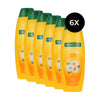 Palmolive Every Day Shampoo - 6 x 350 ml